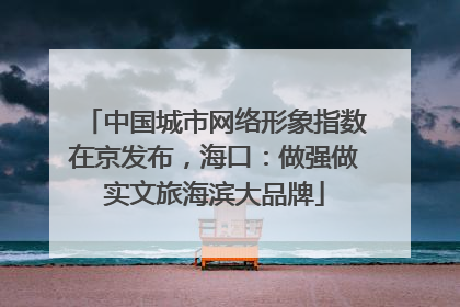 中国城市网络形象指数在京发布，海口：做强做实文旅海滨大品牌