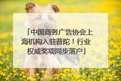 中国商务广告协会上海机构入驻普陀！行业权威奖项同步落户