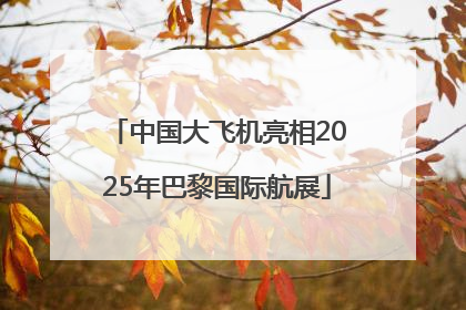 中国大飞机亮相2025年巴黎国际航展