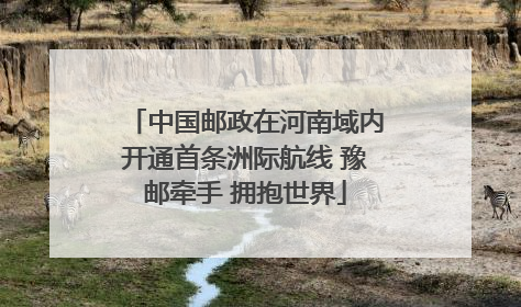 中国邮政在河南域内开通首条洲际航线 豫邮牵手 拥抱世界
