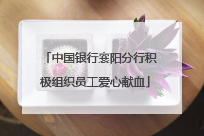 中国银行襄阳分行积极组织员工爱心献血