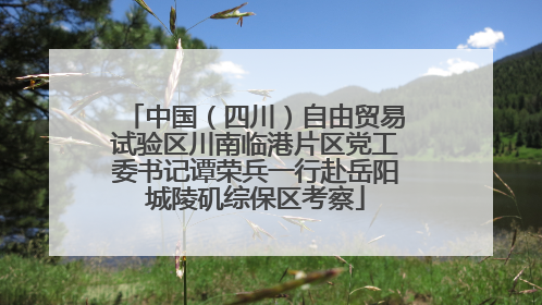 中国（四川）自由贸易试验区川南临港片区党工委书记谭荣兵一行赴岳阳城陵矶综保区考察