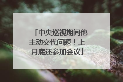 中央巡视期间他主动交代问题！上月底还参加会议