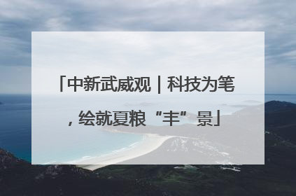 中新武威观｜科技为笔，绘就夏粮“丰”景