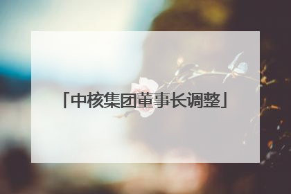 中核集团董事长调整