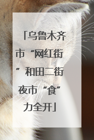 乌鲁木齐市“网红街”和田二街夜市“食”力全开
