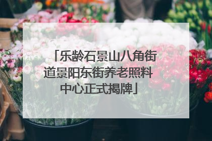 乐龄石景山八角街道景阳东街养老照料中心正式揭牌