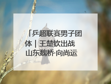 乒超联赛男子团体｜王楚钦出战 山东魏桥·向尚运动胜四川丰谷