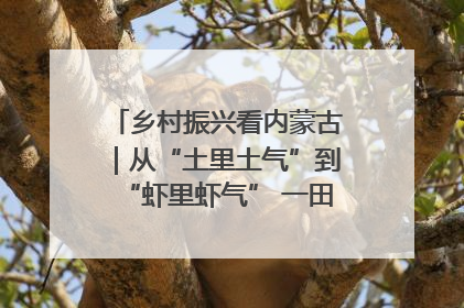 乡村振兴看内蒙古｜从“土里土气”到“虾里虾气” 一田双收模式火出圈