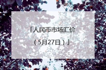 人民币市场汇价（5月27日）