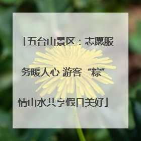 五台山景区：志愿服务暖人心 游客“粽”情山水共享假日美好