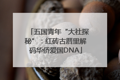 五国青年“大社探秘”：红砖古厝里解码华侨爱国DNA