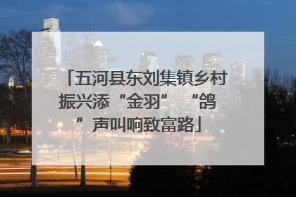 五河县东刘集镇乡村振兴添“金羽” “鸽”声叫响致富路