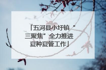 五河县小圩镇“三聚焦”全力推进夏种夏管工作