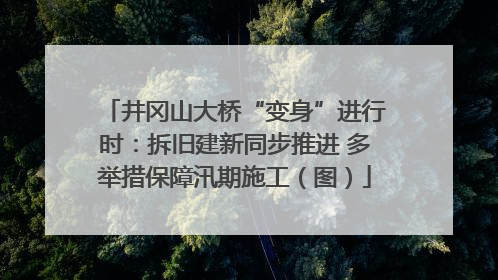 井冈山大桥“变身”进行时：拆旧建新同步推进 多举措保障汛期施工（图）