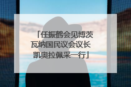 任振鹤会见博茨瓦纳国民议会议长凯奥拉佩采一行
