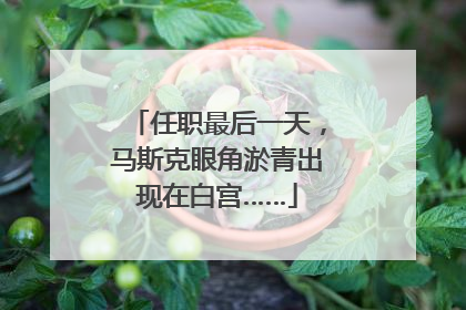 任职最后一天，马斯克眼角淤青出现在白宫……