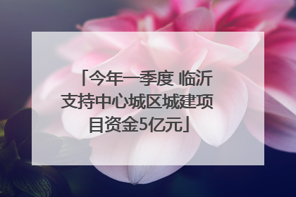 今年一季度 临沂支持中心城区城建项目资金5亿元