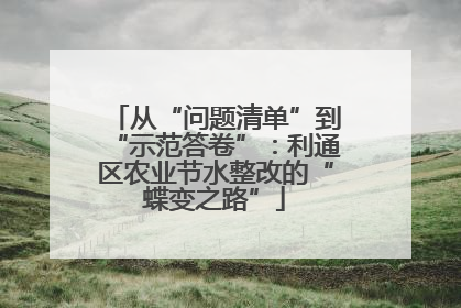 从“问题清单”到“示范答卷”：利通区农业节水整改的“蝶变之路”