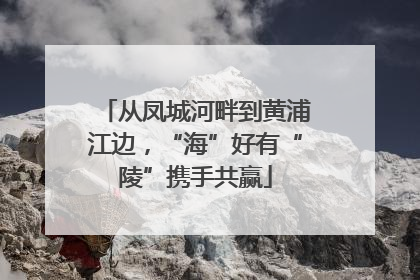 从凤城河畔到黄浦江边，“海”好有“陵”携手共赢