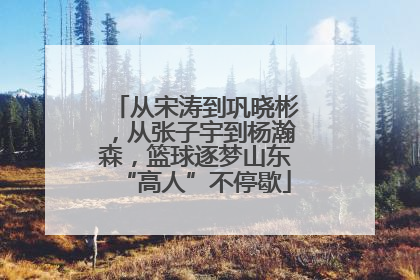 从宋涛到巩晓彬，从张子宇到杨瀚森，篮球逐梦山东“高人”不停歇