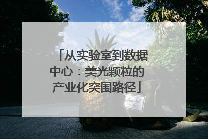 从实验室到数据中心：美光颗粒的产业化突围路径