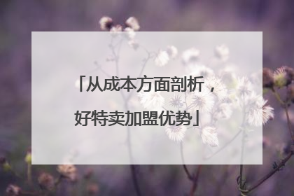 从成本方面剖析，好特卖加盟优势