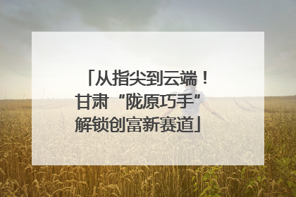 从指尖到云端!甘肃“陇原巧手”解锁创富新赛道