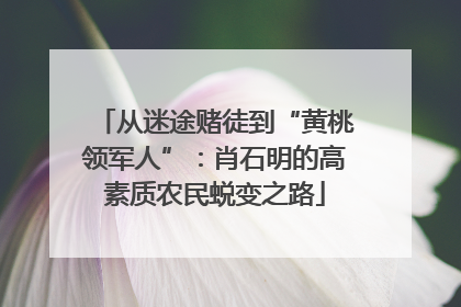 从迷途赌徒到“黄桃领军人”：肖石明的高素质农民蜕变之路