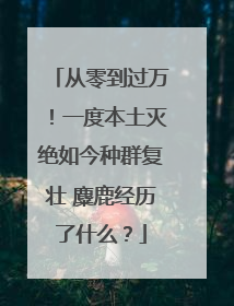 从零到过万！一度本土灭绝如今种群复壮 麋鹿经历了什么？