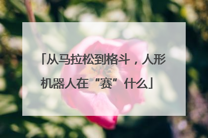 从马拉松到格斗，人形机器人在“赛”什么