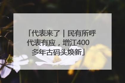 代表来了｜民有所呼代表有应，增江400多年古码头焕新