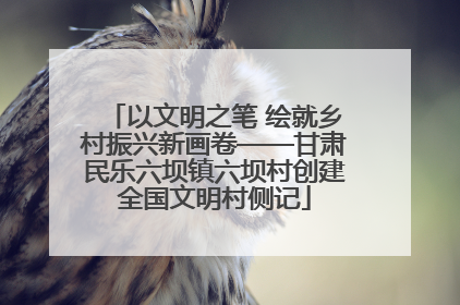 以文明之笔 绘就乡村振兴新画卷——甘肃民乐六坝镇六坝村创建全国文明村侧记