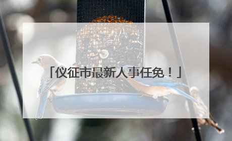 仪征市最新人事任免！