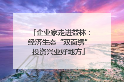 企业家走进益林：经济生态“双面绣” 投资兴业好地方