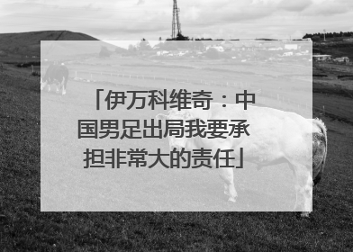 伊万科维奇：中国男足出局我要承担非常大的责任