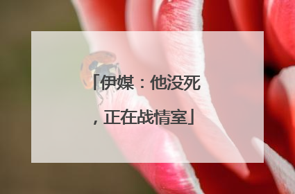 伊媒：他没死，正在战情室