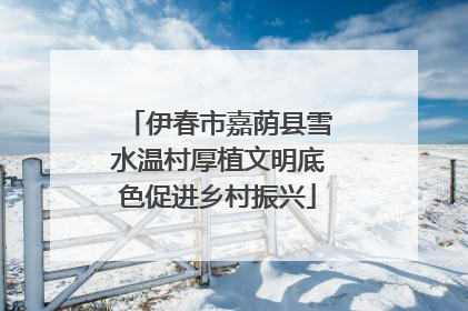 伊春市嘉荫县雪水温村厚植文明底色促进乡村振兴