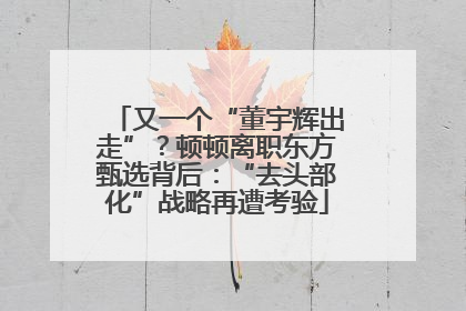 又一个“董宇辉出走”？顿顿离职东方甄选背后：“去头部化”战略再遭考验