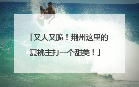 又大又脆！荆州这里的夏桃主打一个甜美！