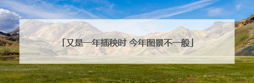 又是一年插秧时 今年图景不一般