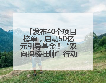 发布40个项目榜单，启动50亿元引导基金！“双向揭榜挂帅”行动成果丰硕