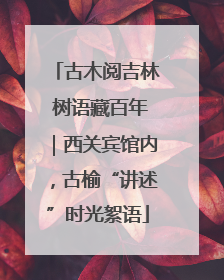 古木阅吉林 树语藏百年｜西关宾馆内，古榆“讲述”时光絮语