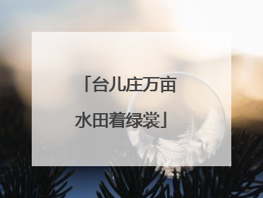 台儿庄万亩水田着绿裳
