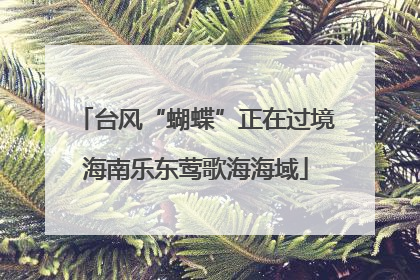台风“蝴蝶”正在过境海南乐东莺歌海海域