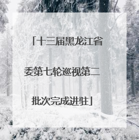 十三届黑龙江省委第七轮巡视第二批次完成进驻