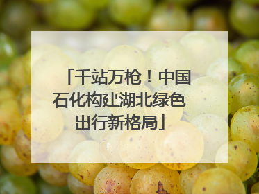 千站万枪！中国石化构建湖北绿色出行新格局