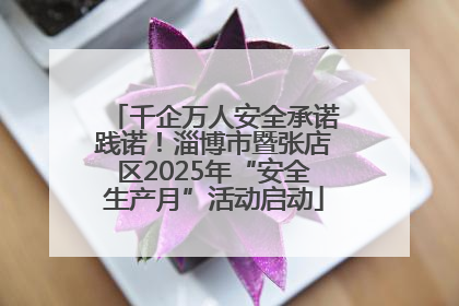 千企万人安全承诺践诺！淄博市暨张店区2025年“安全生产月”活动启动