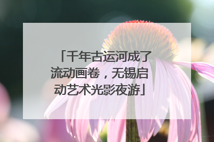 千年古运河成了流动画卷，无锡启动艺术光影夜游