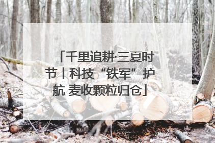 千里追耕·三夏时节丨科技“铁军”护航 麦收颗粒归仓